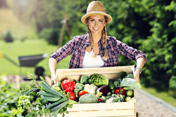 Hübsche Frau mit Kiste Gemüse — Stockfoto