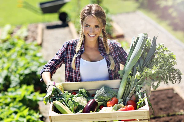 Hübsche Frau mit Kiste Gemüse — Stockfoto