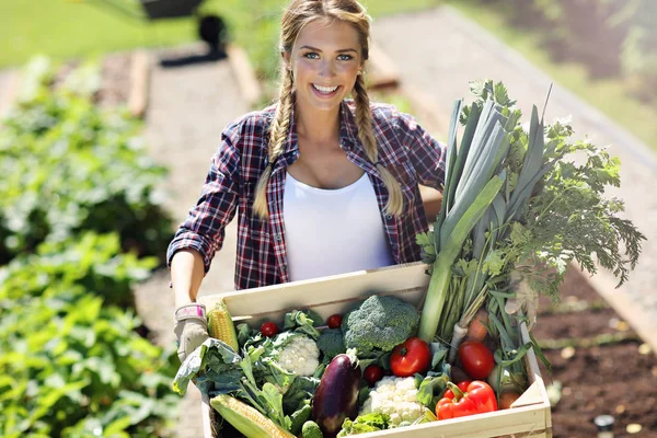 Hübsche Frau mit Kiste Gemüse — Stockfoto