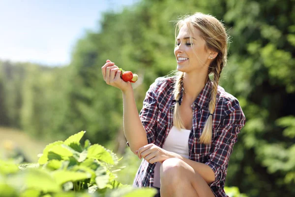 Gelukkige vrouw verzamelen van verse aardbeien — Stockfoto