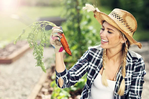 Erwachsene Frau pflückt Gemüse — Stockfoto