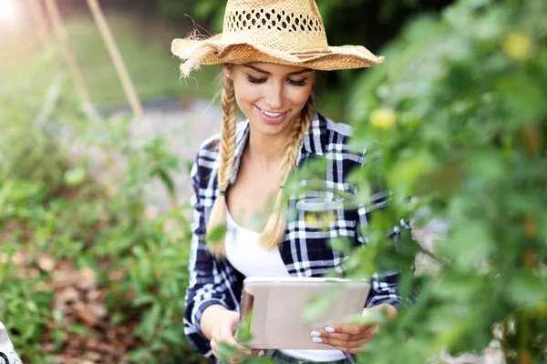 Mujer con tableta examinando plantas —  Fotos de Stock