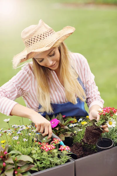 Woman growing flowers outside in summer — Stock Photo, Image