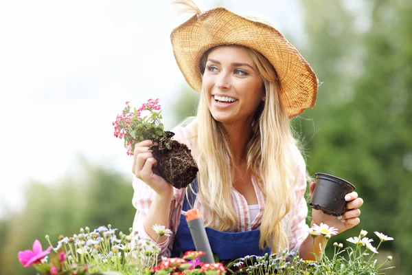 Woman growing flowers outside — Stock Photo, Image