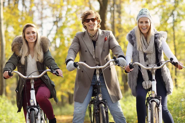 Groep vrienden op de fiets in het bos tijdens vallen tijd — Stockfoto