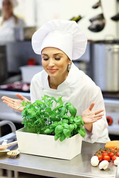 Drukke chef op het werk in de keuken van het restaurant — Stockfoto