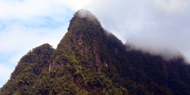 Mt. Santubong, Kuching Sulak alan Milli Parkı, Borneo, Malezya