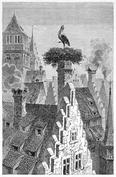 Bocianie gniazdo na ilustrację vintage starożytnych dachu — Zdjęcie stockowe