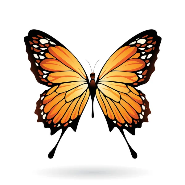 カラフルな蝶の図 — ストックベクタ