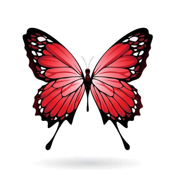 Ilustración de mariposa colorida — Vector de stock