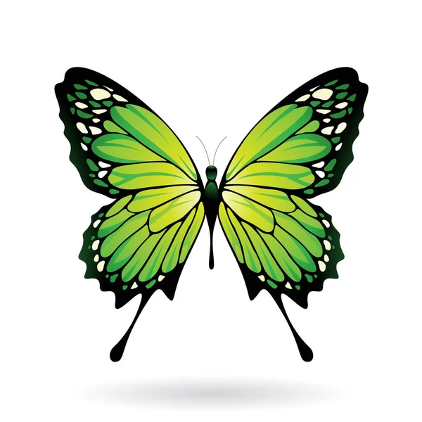 Ilustración de mariposa colorida — Vector de stock