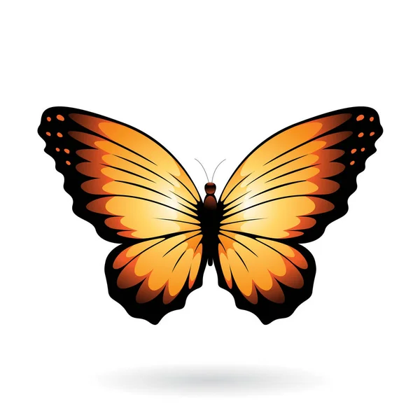 Ilustración de mariposa colorida — Vector de stock
