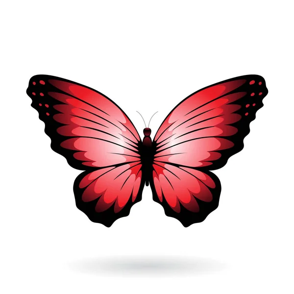 Ilustracja kolorowy motyl — Wektor stockowy