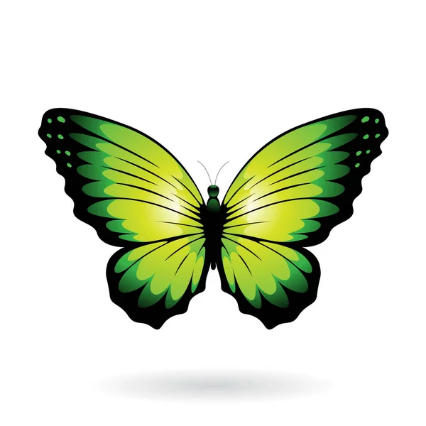 Bunte Schmetterling Illustration — Stockvektor