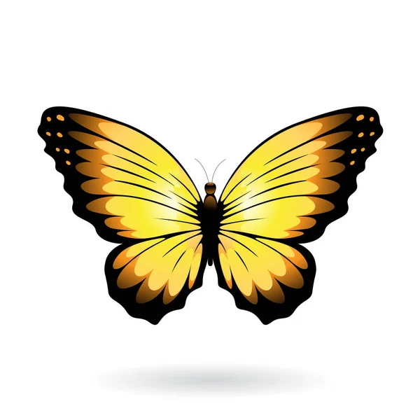 Ilustração borboleta colorida —  Vetores de Stock