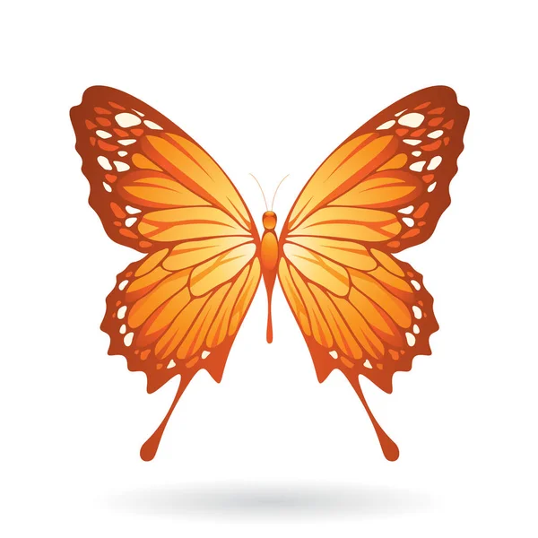 Ilustración de mariposa colorida — Vector de stock