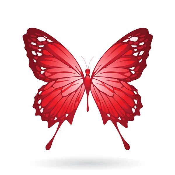 Ilustración de mariposa colorida — Vector de stock