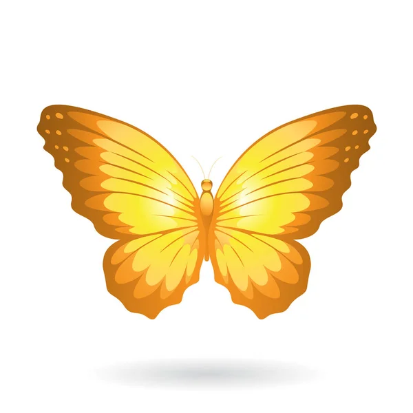 Illustration papillon coloré — Image vectorielle