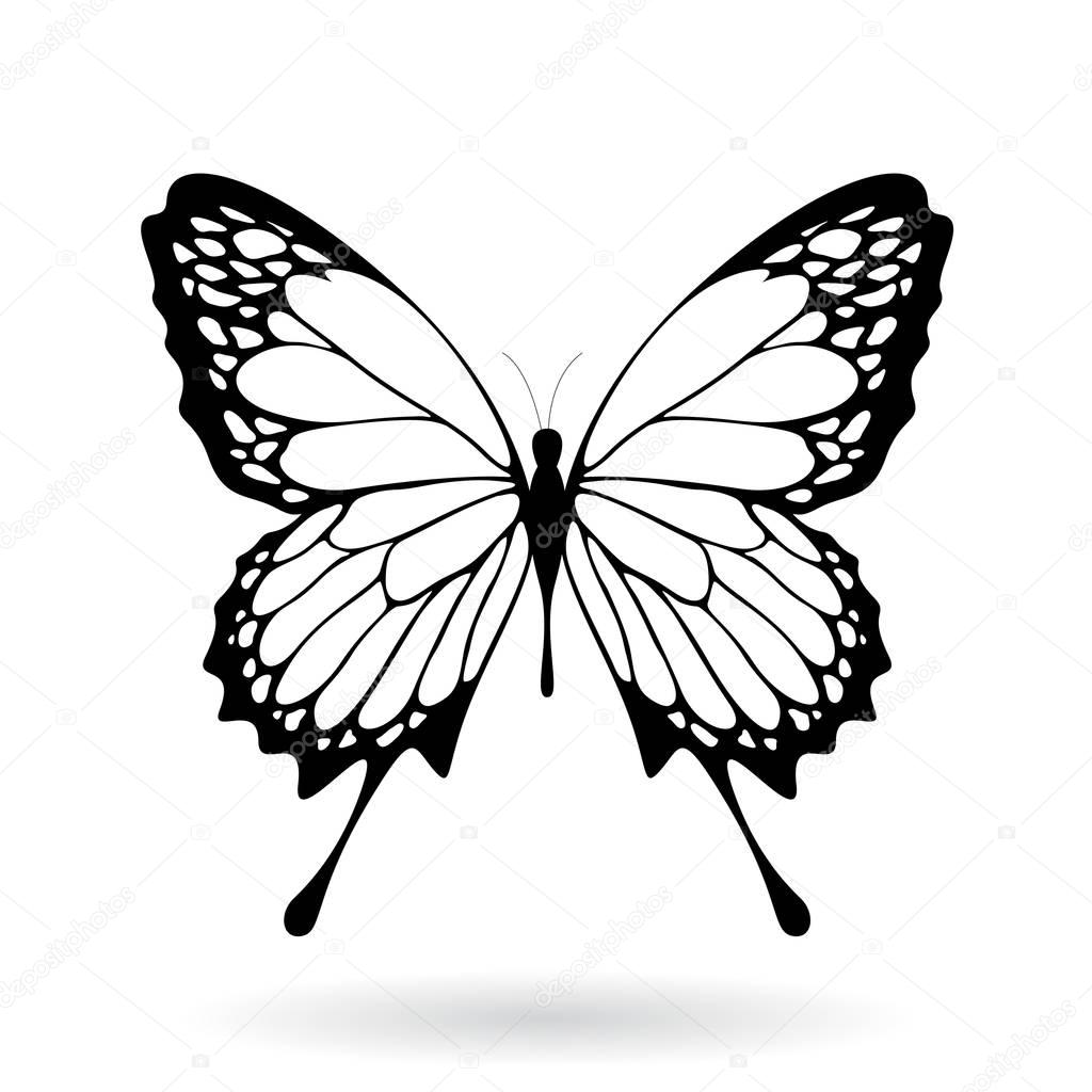 最も検索された 蝶 イラスト シルエット かわいいフリー素材集 いらすとや