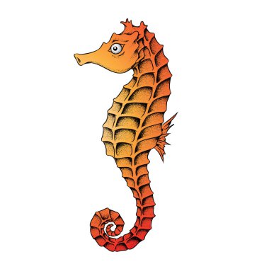 Turuncu Seahorse çizgi roman illüstrasyon
