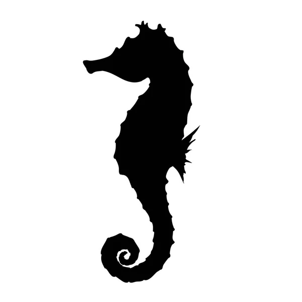 Морський коник силует ілюстрація — стоковий вектор