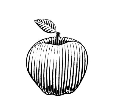 Bir elma vectorized mürekkep kroki