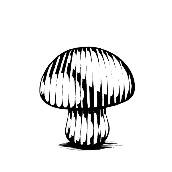Vectorized Ink Sketch of a Mushroom — Stock Vector