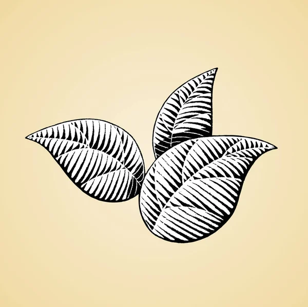 Чернильный эскиз листьев с белой заливкой — стоковый вектор