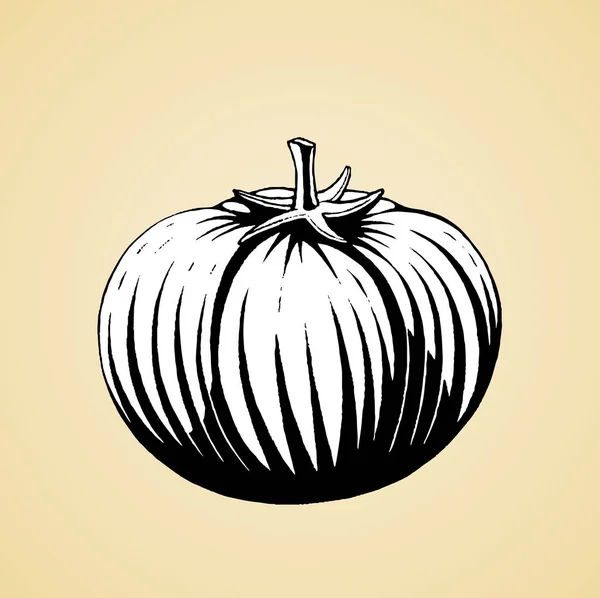 Boceto de tinta de un tomate con relleno blanco — Vector de stock