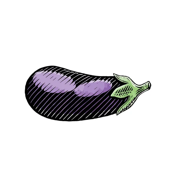 Bläck och akvarell skiss av en aubergine — Stock vektor