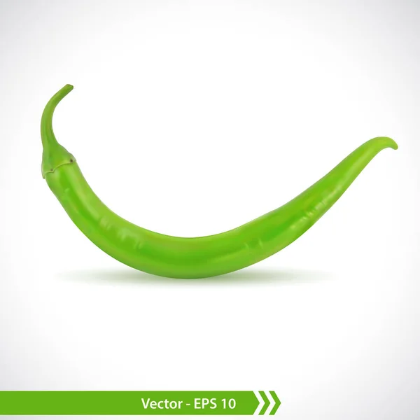 Realistische Darstellung einer würzigen grünen Paprika — Stockvektor