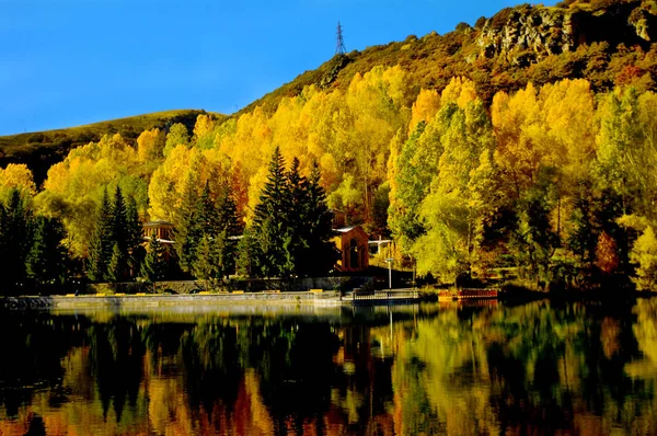 Heller Herbsttag, der sich im blauen Teich spiegelt, umgeben von Bäumen. — Stockfoto