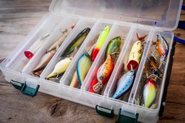 Different styles of fishing lures