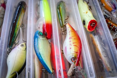 Different styles of fishing lures