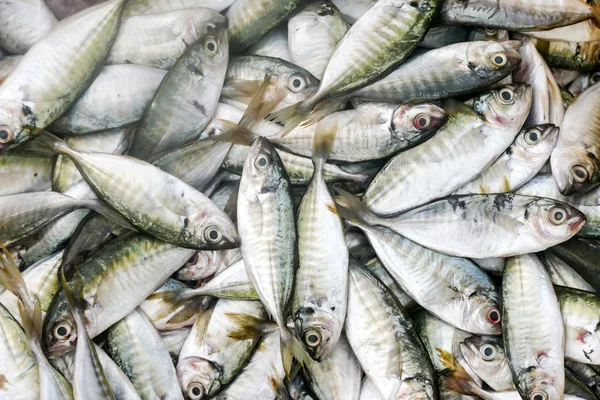 Peixe de mar fresco no mercado local — Fotografia de Stock