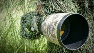 Vahşi yaşam fotoğrafçısı ve büyük lens