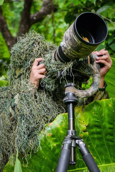 Fotógrafo de vida selvagem camuflagem no terno ghillie trabalhando na natureza Fotografias De Stock Royalty-Free