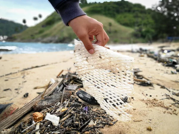 Gönüllü temiz plajlar pullution