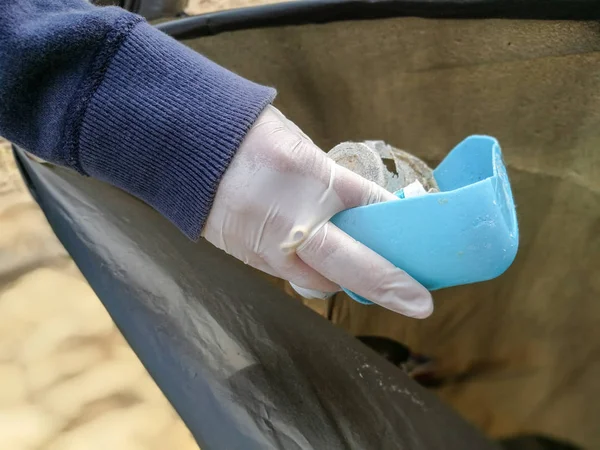 Volunteers clean beaches pullution — Stock Photo, Image