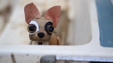 Chihuahua kukla gerçekçi animasyon