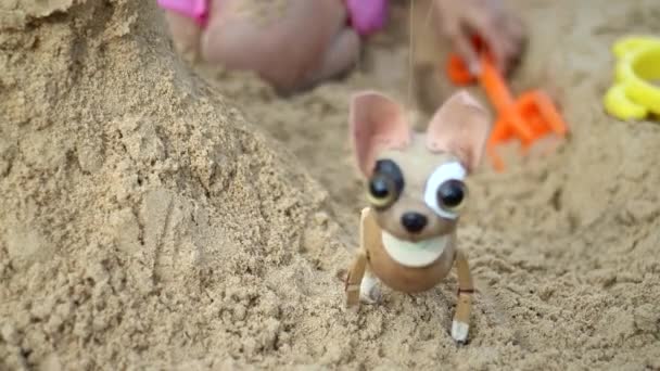 Realistisk Animation Chihuahua Marionett — Stockvideo