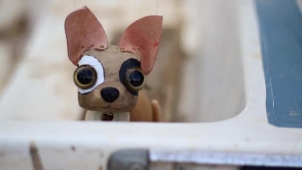Animación Realista Del Títere Chihuahua — Vídeo de stock