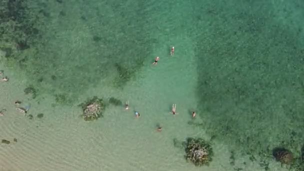 游客们在安达曼海晶莹清澈的海水中游泳 — 图库视频影像