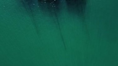 Üç yelkenli güzel bir körfeze dizildi..