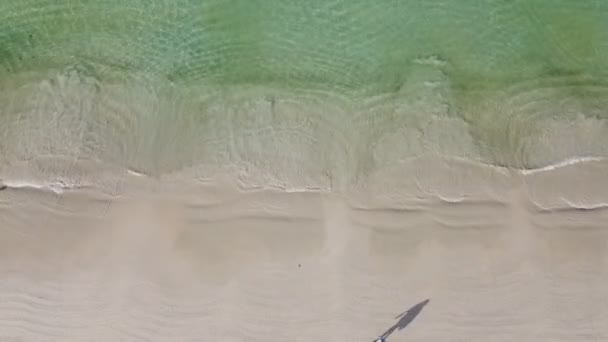 Vista Aérea Cima Para Baixo Exercício Matinal Praia — Vídeo de Stock