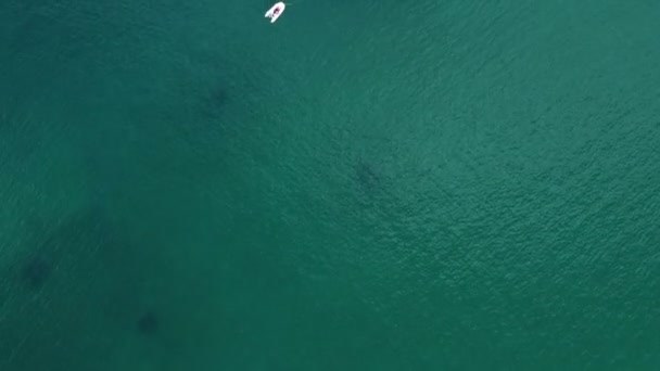 Drone Vangt Een Hoge Hoek Uitzicht Een Groep Zeilboten Aangemeerd — Stockvideo