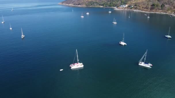 Dron Captura Una Vista Ángulo Alto Grupo Veleros Amarrados Una — Vídeo de stock