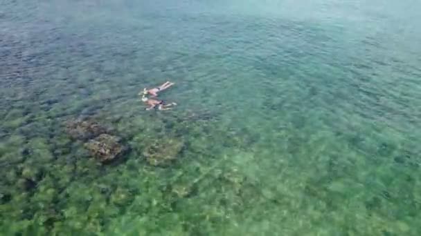 Dron Captura Una Vista Pájaro Dos Turistas Disfrutando Snorkel Mar — Vídeos de Stock