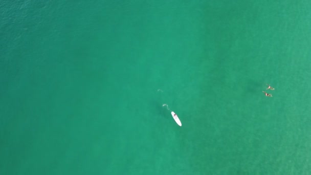 Vista Aérea Cima Para Baixo Até Stand Paddleboarding — Vídeo de Stock