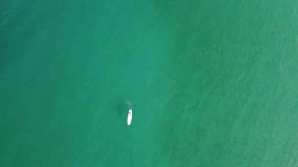 Αεροφωτογραφία Από Πάνω Προς Κάτω Μέχρι Stand Paddleboarding — Αρχείο Βίντεο